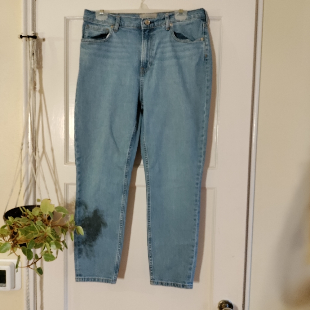 Everlane Light Wash Ankle Cropped Jeans